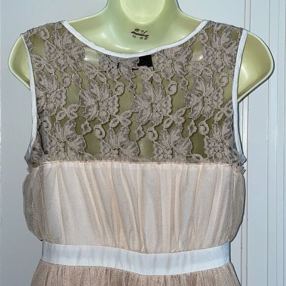 NWOT Blush by Young Threads tan lace & netting dress - Picture 6 of 10